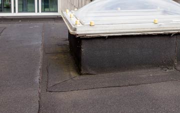 disadvantages of Dungate flat roofs