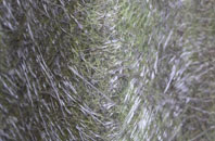 Dungate fibreglass roof work